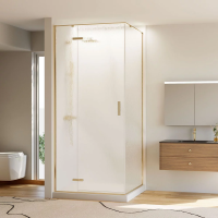 Душевой угол раздвижной прямоугольный RV073RG/L-120100-06-C4 1200х1000х1950 Цвет профиля Золото брашинг Стекло Дождь Veconi